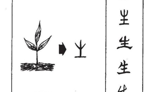 朗肽生物制药法院-朗肽生长因子治疗疤痕有效果吗、朗肽生长因子治疗疤痕有效果吗多少钱 -朗肽生长因子治疗疤痕有效果网